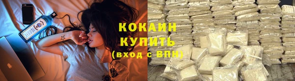 дмт Арсеньев