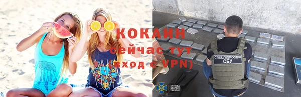 дмт Арсеньев